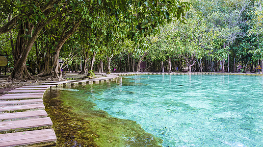 泰国Krabi红树林泰国Krabi树林 绿化湖和蓝泳池米府热带旅行游客池塘丛林远足水池红树红树林图片