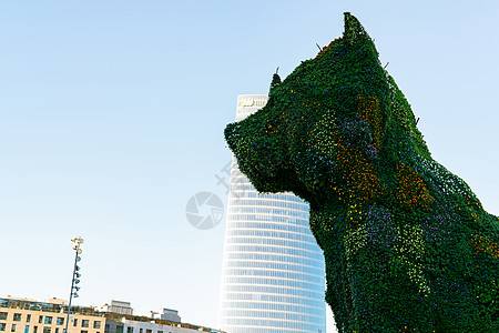 BILBAO 2021年12月18日 小狗在毕尔巴鄂 比斯卡 巴斯克国家 西班牙比斯凯的Guggenheim博物馆守卫图片