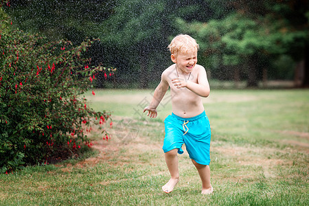在炎热的夏日玩水的小孩 带花园洒水器的男孩 男孩在水滴下的田野上奔跑图片