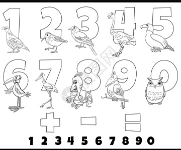 以漫画鸟彩色页面设置的教育教育编号学校鸵鸟援助数学染色幼儿园彩书动物绘画猫头鹰图片