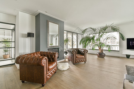 现代公寓中时式的客厅座位沙发窗帘房子地面日光窗户休息室风格枕头图片