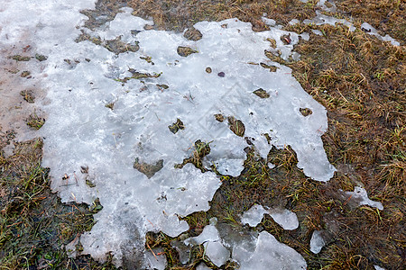 通过雪泉生长的青草纹理图片