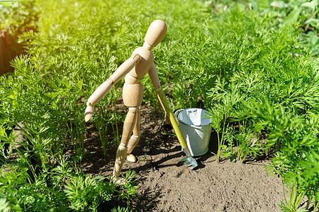 农民木工正在他的菜园里挖土 种植有机生菜;可持续的生活方式概念是可持续的图片