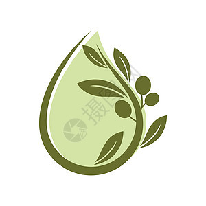 橄榄插图 vecto农业徽章标识液体环境处女温泉植物叶子生态图片