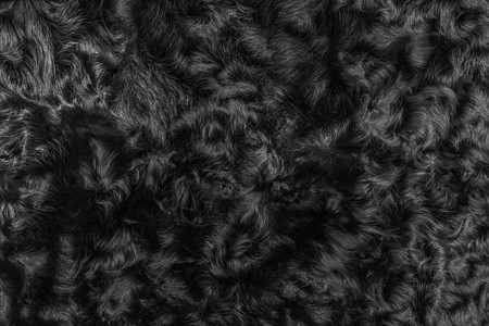 黑色羊毛纹理皮底底底底深色软材料抽象表面形态自然图案材料外套风格纺织品墙纸毛皮棉布羊皮野生动物小地毯图片