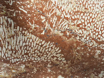 红色大理石纹理背景空白材料石头墙纸样本背景图片