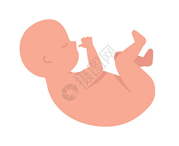 新生儿新生婴儿半平板彩色矢量特性图片