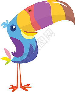 Toucan 漫画 图ucan 鸟的矢量图标 外来鸟类插图贴纸翅膀鹦鹉蓝色热带荒野打印卡通片羽毛收藏图片