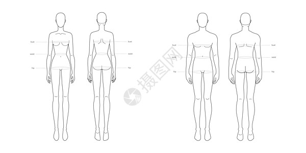 男女标准身体部位术语测量服装和配饰生产时尚的插图尺寸衣服服饰腰部收藏女性女孩裁缝草图臀部图片