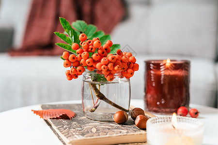 静物书 蜡烛 罗文浆果和一杯茶或咖啡放在客厅的桌子上 家居装饰在舒适的房子里 秋季周末概念 毯子和格子花呢 落叶和家居装饰杯子情图片