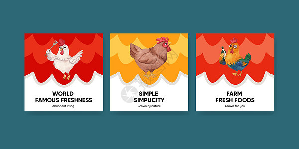 含有养鸡场食品概念 水色风格的板条模板食物农场卡通片家禽公鸡小鸡广告营销母鸡啤酒背景图片