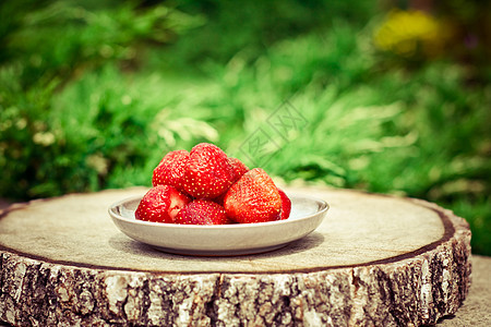 花园中的草莓     新鲜水果和健康饮食型式概念早餐农场维生素营养饮食乡村浆果食物美食收成图片