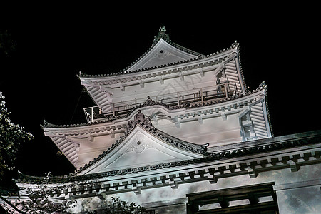 奥达瓦拉城堡和夜樱旅游石墙夜景花瓣樱花照明木头晴天世界遗产夜空图片