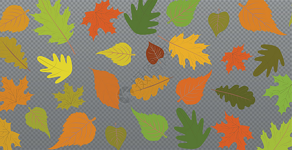 秋红叶和黄叶 网络模板透明背景  矢量卡片橡木橙子插图枫叶植物季节边界植物群叶子图片