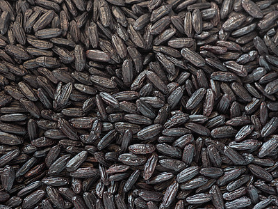黑米饭野米育种黑色营养食物粮食荒野杂交美食黑米图片