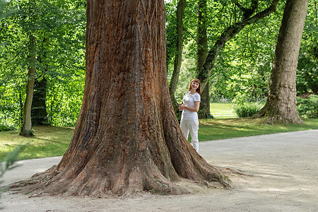 大树 公园里有一棵厚的树干图片