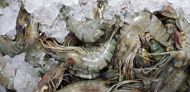 来自市场的鲜虾生虾或甲壳类动物或甲壳类动物宏观美食食物老虎盘子拼盘贝类甲壳海鲜餐厅图片