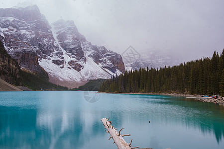 在加拿大寒冷的雪天Moraine湖中 莫拉因湖中的松绿水和积雪旅游国家山脉首脑松树独木舟冰川风景假期蓝色图片