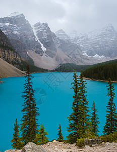 在加拿大寒冷的雪天Moraine湖中 莫拉因湖中的松绿水和积雪全景公园旅行女士首脑独木舟山峰山脉远足蓝色图片