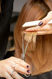 理发师剪裁小费 女性头发魅力造型师理发女士剪刀理发店治疗顾客沙龙梳子图片