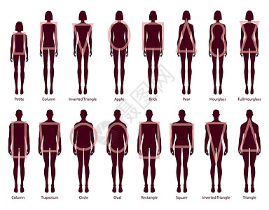 一组女性男性身体形状的轮光型 在卡通风格9头大小的绅士们中 男用女性矢量插图图片