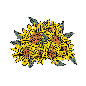 带黄色花瓣和绿叶的小向日葵花团列图片