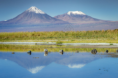 智利阿塔卡马沙漠里坎查布火山景观和盐湖反射普纳旅游戏剧性风景盐滩火山地方草原荒野反射图片