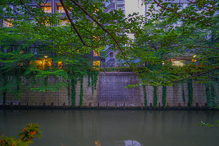 新的绿色城市梅吉罗河公寓叶子景点计量植物蓝天旅游高层流动黑川图片