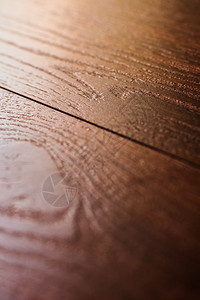 红木质料 室内设计木地板房间装修奢华木材风格地面公寓硬木乡村图片