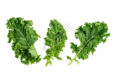 绿叶甘蓝营养卷曲饮食蔬菜花园植物青菜收成食物维生素图片