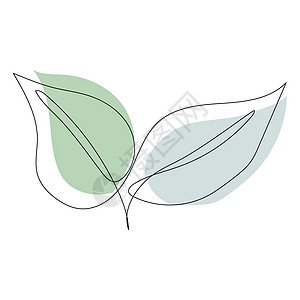植物树叶线艺术 轮廓绘画 最小化艺术插图草图叶子图片