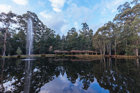 澳大利亚加利波利公园马里斯维尔高清图片