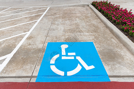 蓝色标志 残疾人停车位 在柏油路上 路边有白色路标和鲜花图片