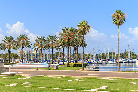 美国佛罗里达州圣彼得堡有游艇的海湾天际建筑学码头港口热带景观帆船城市海岸市中心图片