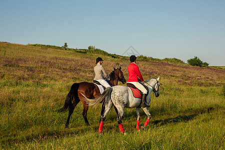两个有魅力的女人骑着马骑着绿色草地的马车手训练课程乐趣骑士女性冠军马术假期竞赛图片