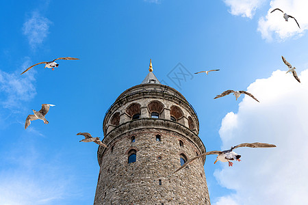 土耳其伊斯坦布尔的加拉塔塔 伊斯坦布尔著名的海鸥旅游目的地城市历史建筑学火鸡脚凳地方加拉塔建筑天空石头图片