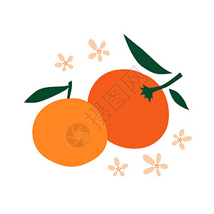 两颗橙色柑橘 全果子上都是绿色叶子 周围环绕着橙色花朵图片