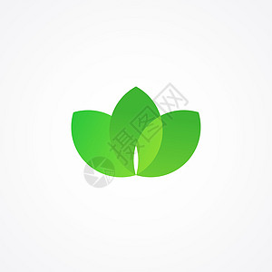 三叶绿色标志活力插图白色叶子环境植物标识树叶健康生物图片