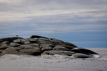 俄罗斯白海湾的棕色拉米尼亚波浪瓦砾群岛海岸线石头巨石荒野悬崖海岸海滩图片