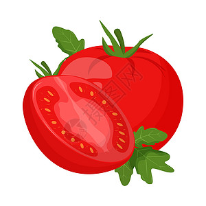 白色背景上孤立的全番茄 平面矢量说明横幅插图果汁蔬菜果味叶子甜点食物水果标识图片