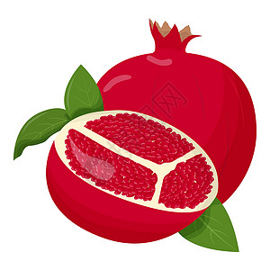 白色背景上孤立的整片石榴 Flat 矢量插图标识叶子艺术卡通片果味健康生态绘画水果种子图片