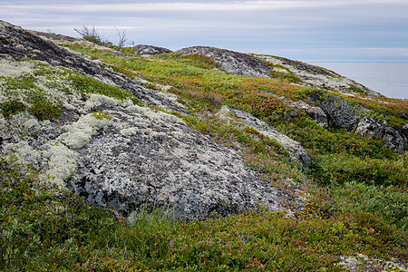 白海的风景与岩石海洋海岸线支撑悬崖石头天空荒野矿物海滩蓝色图片