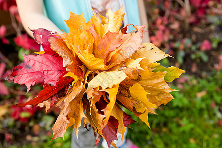 孩子手里拿着一束枫叶 孩子们在秋天的公园玩耍 秋天的落叶 秋天的心情 蹒跚学步的孩子或学龄前儿童在秋天 秋叶女孩快乐女士喜悦幸福图片