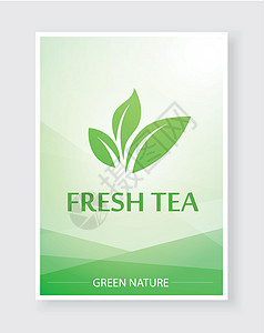 茶叶和热饮的创用菜单以自然绿色颜色制作-餐饮或咖啡馆的矢量美丽菜单图片