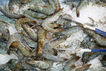 桌边有生的海虾海鲜桌子砧板红色食物盘子生食图片