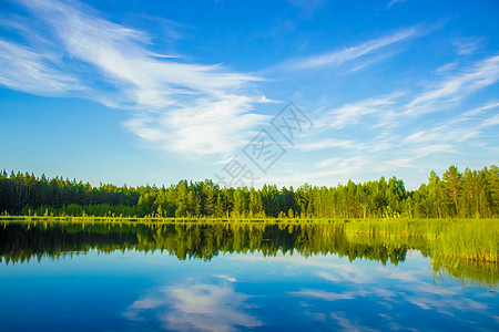 湖水 蓝天和森林的自然景观 — 斯堪的纳维亚的夏季宁静景观图片