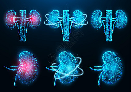 一组多边形矢量插图 显示发炎的患病肾脏 健康的肾脏和肾功能的恢复 内部器官低聚设计 泌尿科或肾脏科医学横幅 模板图片