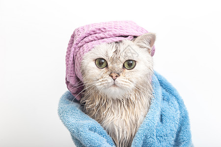 洗完澡后 穿着蓝毛巾裹在头上的紫花帽上图片