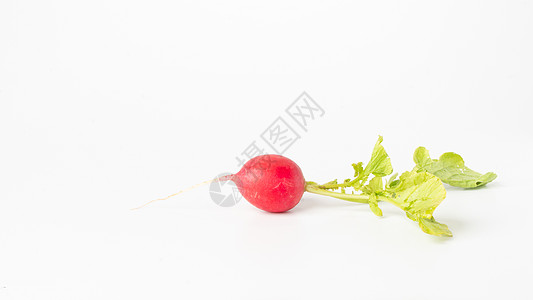 白色背景缝合白绿色的紫红素营养饮食午餐果汁数字农业甜点蔬菜健康收成背景图片