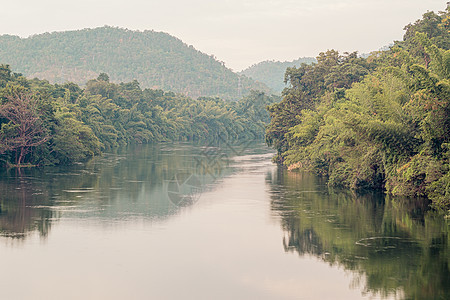 森林湖 河流在树木之间流动 自然的美景图片